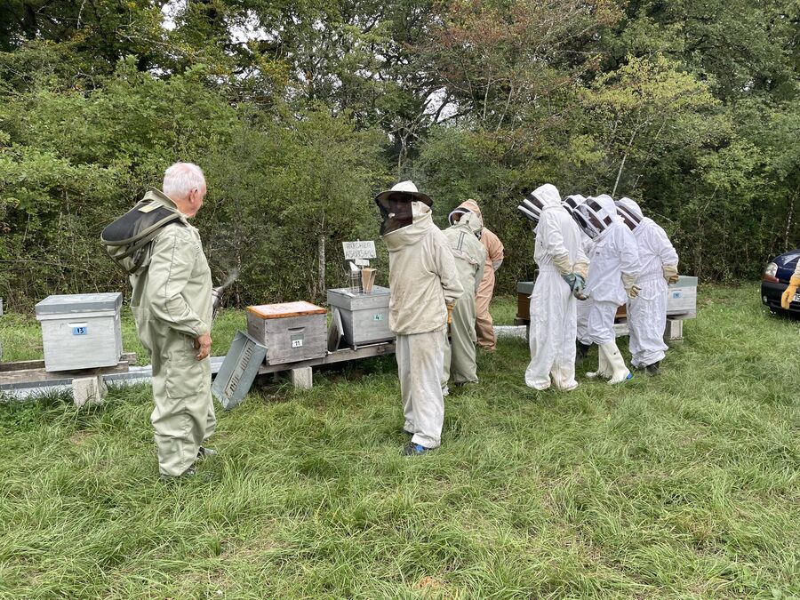 Apiculteurs en formation au rucher-école de l'Union Apicole 70
